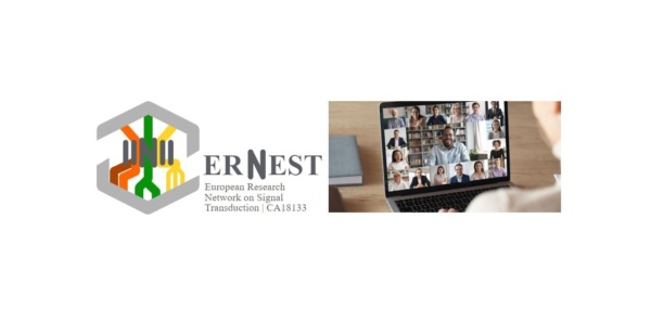 2nd ERNEST Training School – February 20th to March 3rd